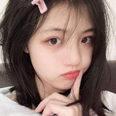 挎斗摩托车里的狗