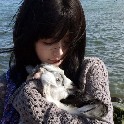 新边城浪子